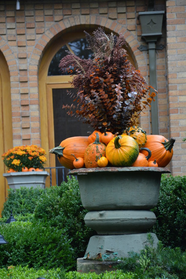 fall container with pumpkins