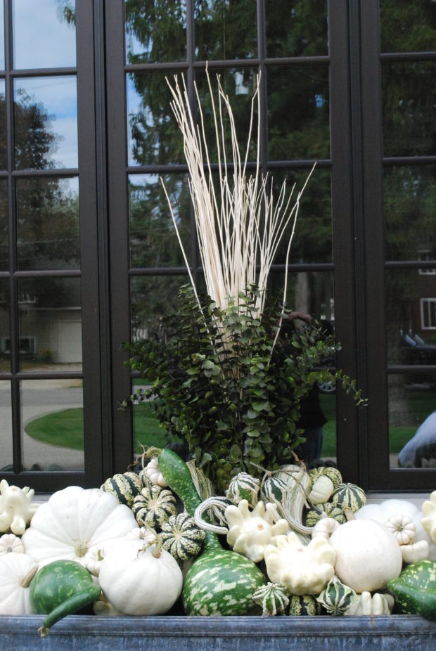 fall container arrangement