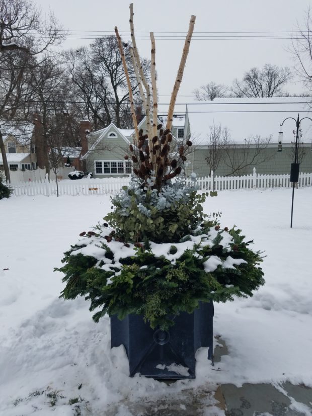 winter container