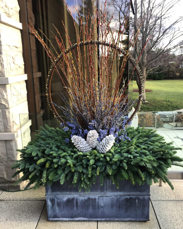 Winter Container Favorites to Mix & Match - Sky Nursery