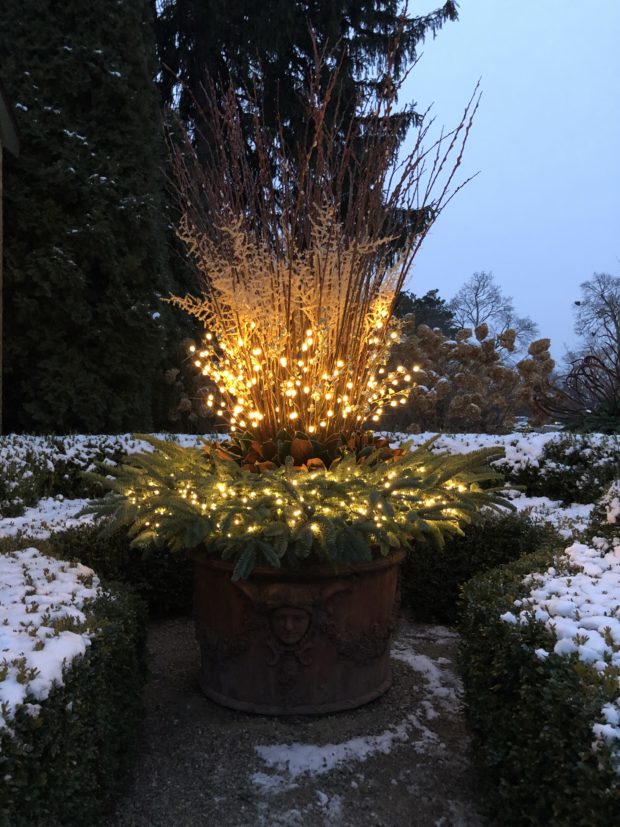 lighted winter containers 1 Rise And Shine | Deborah Silver & Co.