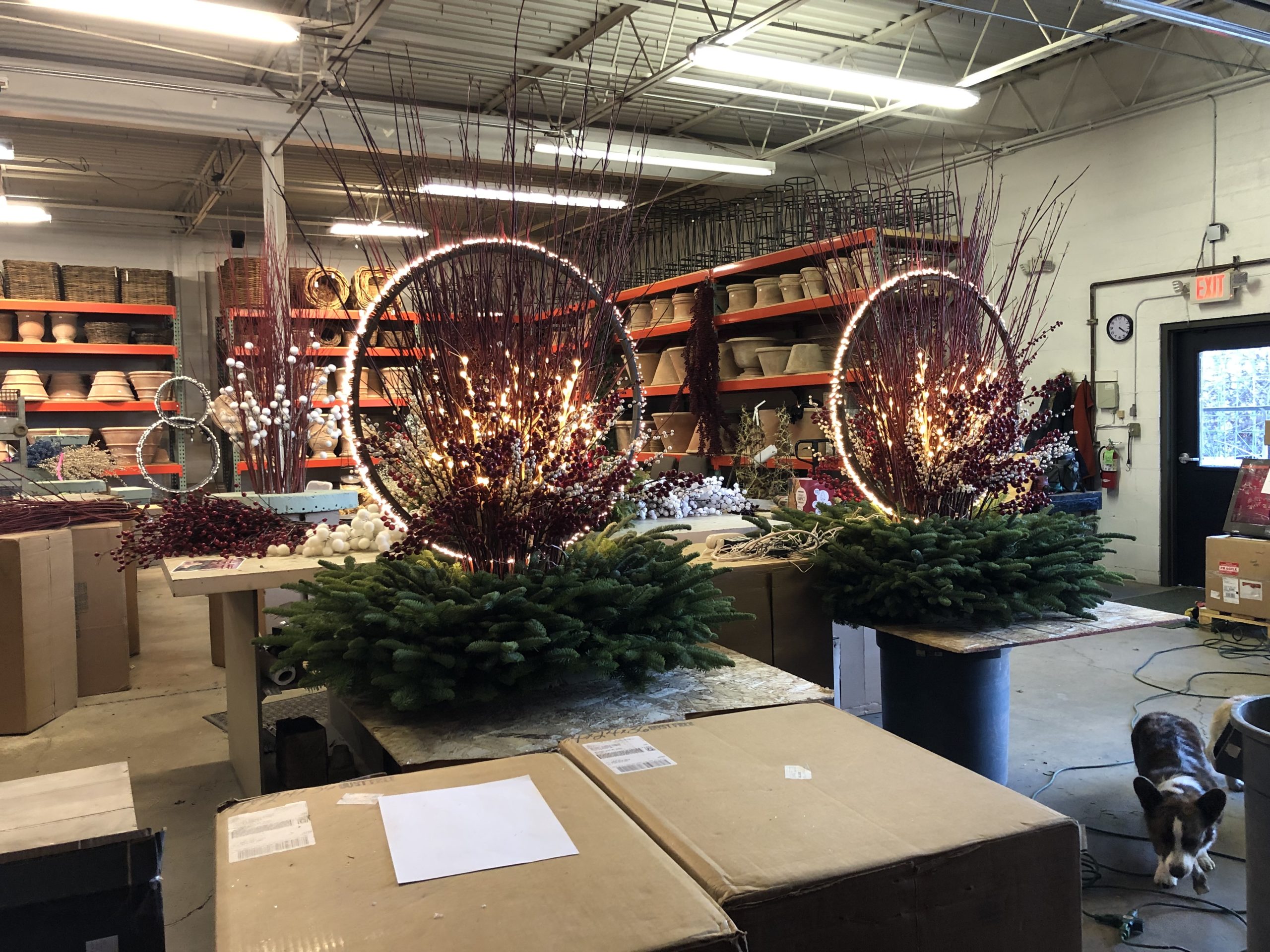 HOLIDAY 2021 2 scaled Lighted Rings For Winter Pots